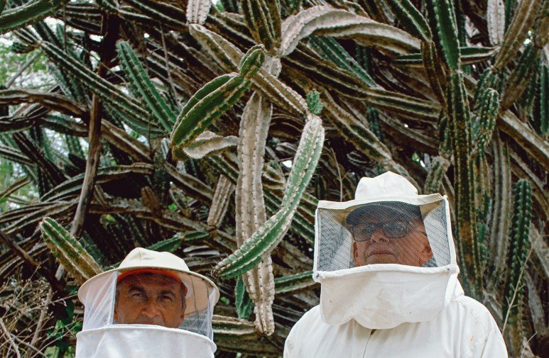 Mapping beekeeping in the semi-arid