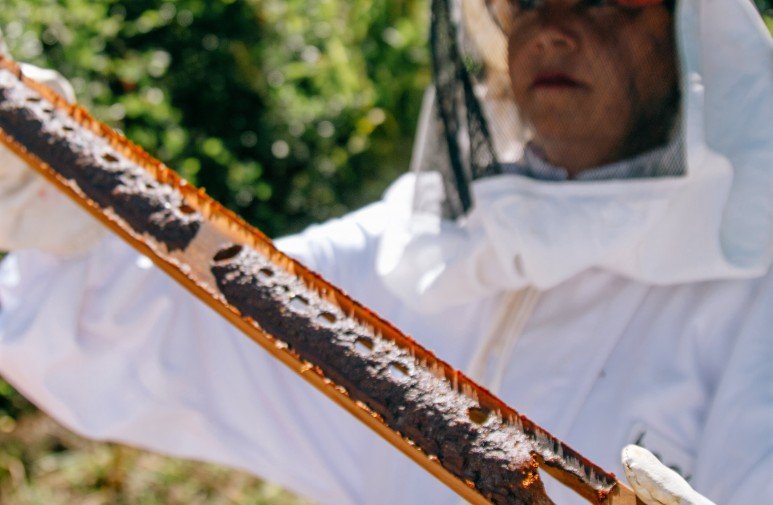 We promote the scientific development of beekeeping