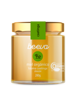 mel caatinga silvestre orgânico do brasil - vidro 280